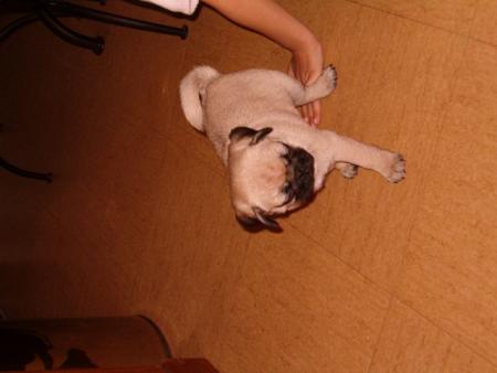 ma photo est de travers mais regardez comme je grandie!